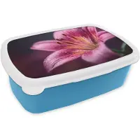 MuchoWow Broodtrommel Blauw - Lunchbox Roze - lelie - Dauwdruppels - Brooddoos 18x12x6 cm - Brood lunch box - Broodtrommels voor kinderen en volwassenen