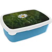 MuchoWow Broodtrommel Blauw - Lunchbox Wit - Madeliefje - Bloem - Gras - Brooddoos 18x12x6 cm - Brood lunch box - Broodtrommels voor kinderen en volwassenen