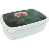 MuchoWow Broodtrommel Wit - Lunchbox Anjer - Roze - Bloemblaadjes - Brooddoos 18x12x6 cm - Brood lunch box - Broodtrommels voor kinderen en volwassenen