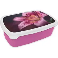 MuchoWow Broodtrommel Roze - Lunchbox Roze - lelie - Dauwdruppels - Brooddoos 18x12x6 cm - Brood lunch box - Broodtrommels voor kinderen en volwassenen