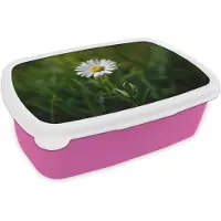 MuchoWow Broodtrommel Roze - Lunchbox Wit - Madeliefje - Bloem - Gras - Brooddoos 18x12x6 cm - Brood lunch box - Broodtrommels voor kinderen en volwassenen