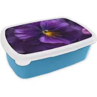 MuchoWow Broodtrommel Blauw - Lunchbox Paars - Viool - Diepte - Brooddoos 18x12x6 cm - Brood lunch box - Broodtrommels voor kinderen en volwassenen