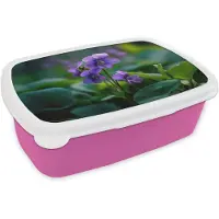 MuchoWow Broodtrommel Roze - Lunchbox Viooltjes - Paars - Bloem - Bladeren - Brooddoos 18x12x6 cm - Brood lunch box - Broodtrommels voor kinderen en volwassenen