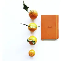 Rhodia Notizbücher und Notizhefte Rho