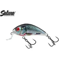 Salmo Rattlin' Hornet Shallow Floating Holographic Real Dace 4,5 cm 3 g Wobbler
