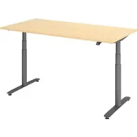 Hammerbacher Bureau XDLR elektrisch in hoogte verstelbaar 160 x 80 Esdoorn - Grafiet