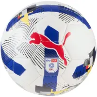 Puma Orbita 3 Efl Sky Bet Football 25/26 Football Ball Wit 5
