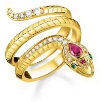 Thomas Sabo - TR2305-488-7-56 - Ring - Dames - Apple & Snake - ringmaat 56