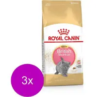 Royal Canin British Shorthair Kitten - Kitten-Kattenvoer - 3 x 2 kg