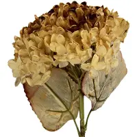 Clayre & Eef Kunstbloem 15x15x47 cm Beige Kunststof