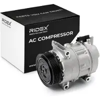 RIDEX 447K0824 Aircopomp