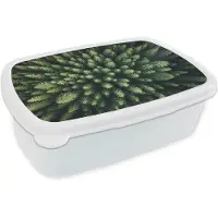 MuchoWow Broodtrommel Wit - Lunchbox Bomen - Naaldwoud - Structuur - Brooddoos 18x12x6 cm - Brood lunch box - Broodtrommels voor kinderen en volwassenen