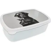 MuchoWow Broodtrommel Wit - Lunchbox Hond - Zwart - Wijnglas - Zonnebril - Brooddoos 18x12x6 cm - Brood lunch box - Broodtrommels voor kinderen en volwassenen
