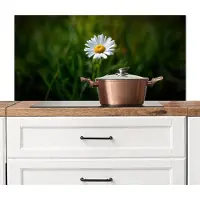 KitchenYeah Spatscherm keuken 100x50 cm - Kookplaat achterwand Wit - Madeliefje - Bloem - Gras - Muurbeschermer - Spatwand fornuis - Hoogwaardig aluminium