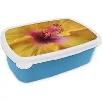 MuchoWow Broodtrommel Blauw - Lunchbox Geel - Hibiscus - Tropisch - Brooddoos 18x12x6 cm - Brood lunch box - Broodtrommels voor kinderen en volwassenen