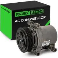 RIDEX 447K1074R Aircopomp