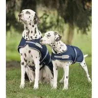 Waldhausen Regendeken Voor Honden - Bijna Uitverkocht!