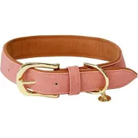 Kentucky Dogwear - Hondenhalsband - Vegan Leer Oranje L/62CM - Hondenriem