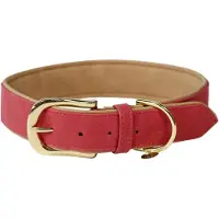 Kentucky Dogwear - Hondenhalsband - Vegan Leer Rood L/62CM - Hondenriem