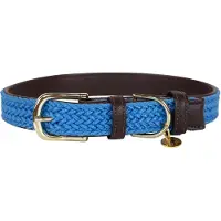 Kentucky Dogwear - Hondenhalsband - Gevlochten Nylon Hondenriem - Lichtblauw - Maat M (50cm)