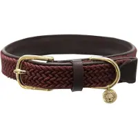 Kentucky Dogwear - Hondenhalsband - Gevlochten Nylon - Bordeaux - Maat L - 62cm - Hondenriem
