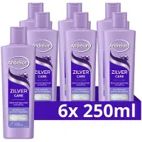 Unilever 6x Andrélon Shampoo Zilver Care 250 ml