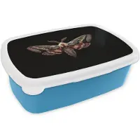 MuchoWow Broodtrommel Blauw - Lunchbox Mot - Oosterse patronen - Sierlijk - Brooddoos 18x12x6 cm - Brood lunch box - Broodtrommels voor kinderen en volwassenen