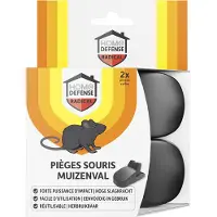 KB Home Defense Muizenval Kunststof 2 Stuks