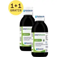 Nutergia Ergydraine 2x250 ml Oplossing