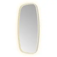 Hotbath &More Contour spiegel deens ovaal 40x80cm RVS