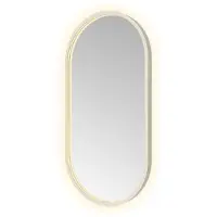 Hotbath &More OVA480 Oval spiegel 40x80cm met verlichting, spiegelverwarming, kleurwissel, dimbaar en afstandsbediening RVS316