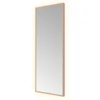 Hotbath &More SQU380 Square spiegel 30x80cm met verlichting, kleurwissel, dimbaar en afstandsbediening geborsteld koper PVD