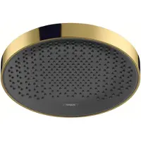 Hansgrohe rainfinity powderrain hoofddouche 250 1jet, polished gold optic