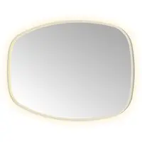 Hotbath &More CON812 Contour spiegel 120x80cm met verlichting, spiegelverwarming, kleurwissel, dimbaar en afstandsbediening RVS316