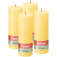 Bolsius - Rustieke Kaars - 4 Stuks - Licht Geel - 19cm