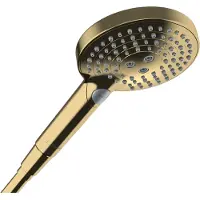 Hansgrohe raindance select s handdouche 120 3jet powderrain ecosmart+, polished gold-optic