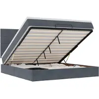 vidaXL Ottoman bed met matrassen en LED's 160x200cm fluweel
