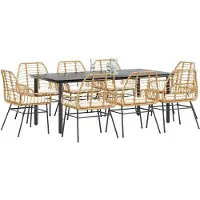 vidaXL 9-delige Tuinset met kussens poly rattan glas bruin