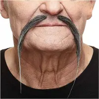 My Other Me - Grijze Chinese snor voor volwassenen