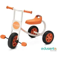 WEPLAY Eduplay driewieler groot, model Edusante - kleurrijk, educatief speelgoed