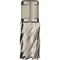 EUROBOOR HSS KERNBOREN - weldon shank | 30mm, 49mm HCS.490