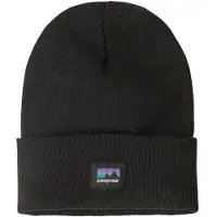 Patagonia Cap Everyday