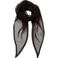Premier Dames/vrouwenwerk Chiffon Formele Sjaal (Apple)