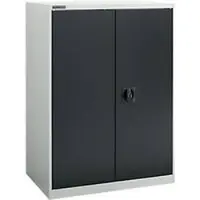 Schäfer Shop Draaideurkast MS-i 12408, plaatstaal, B 800 x D 400 x H 1215 mm, 3 OH, lichtgrijs/antracietgrijs, tot 150 kg