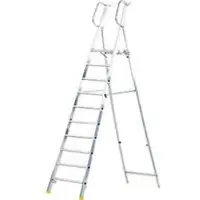 HACA MEHRSI-platformladder, 10 treden