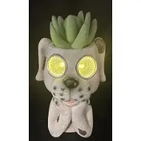 Impuls Decoratieve solarlamp "hond met kunststof plant" - meerkleurig - polyresin - met kunststof plant en 2 LEDs - Staand model - hoogte 15 x 11 x 7 cm - Tuindecoratie - Tuinverlichting