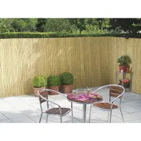 Intergard Bamboematten tuinscherm gespleten budget 2x5m