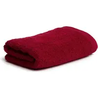 Möve Handdoek 50x100 cm - 100% katoen - zacht, absorberend & huidvriendelijk - Superwuschel - gemaakt in Duitsland