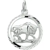 GLAMS hanger sterrenbeeld stier gediamanteerd - Zilver