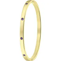 Lucardi Armband goud / donkerlila
